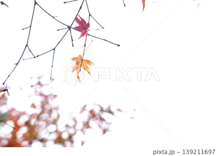 地元で愛される紅葉の名所京都府亀岡市神蔵寺を撮影 地元で愛される紅葉の名所京都府亀岡市神蔵寺を撮影 139211697