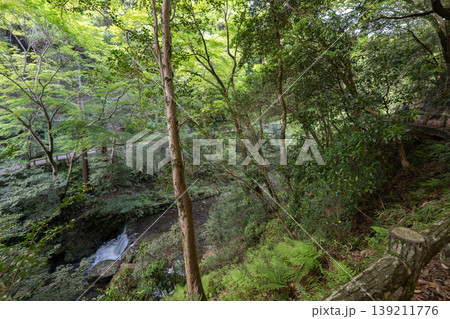 箕面の風景 箕面の風景 139211776