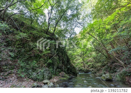 箕面の風景 箕面の風景 139211782