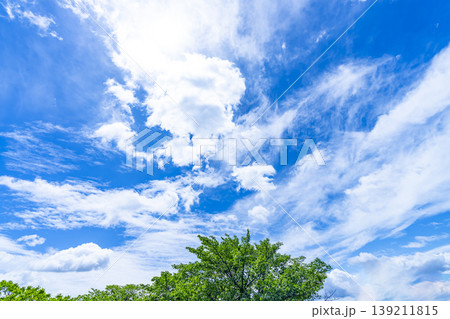 春の青空と雲と新緑 春の青空と雲と新緑 139211815