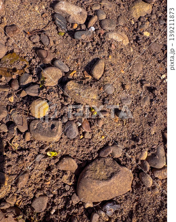 Ground covered with different stones and pebbles at a riverbank during daylight 139211873