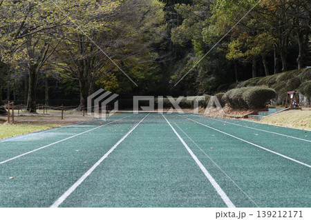 自然に囲まれた陸上トラックの風景 自然に囲まれた陸上トラックの風景 139212171