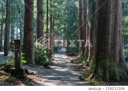 木々に囲まれた参道 木々に囲まれた参道 139212306