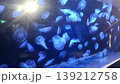 水槽の中を漂うクラゲ 139212758