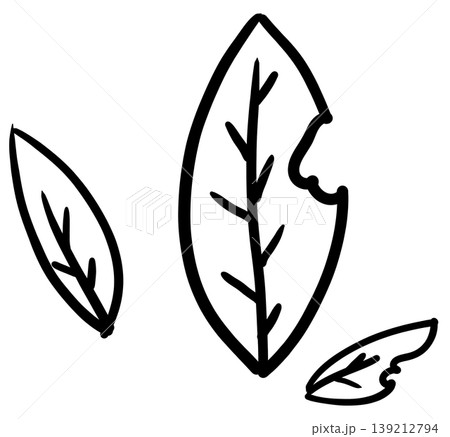 This is a hand-drawn leaf drawing. 139212794
