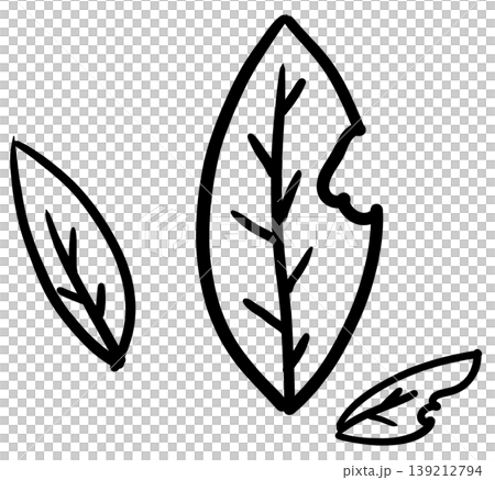 This is a hand-drawn leaf drawing. 139212794