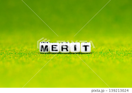 MERITのアルファベットビーズ MERITのアルファベットビーズ 139213024