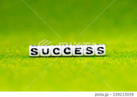 SUCCESSのアルファベットビーズ 139213039
