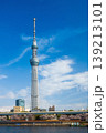 対岸の満開の桜並木と青空に向かってそびえ立つ東京スカイツリー (東京都、墨田区) 139213101