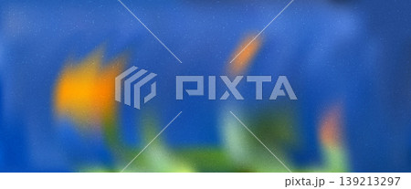 Blur floral daffodil grain background for beauty design. Gentle blurred flower with smooth gradient in yellow and blue for presentation. Dreamy grainy flower vector backdrop for botanical packaging 139213297