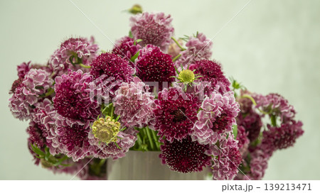 Goyang International Flower Exhibition 139213471