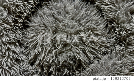 gray shaggy carpet texture macro capturing fluffy fibers in ethereal abstract pattern 139213705