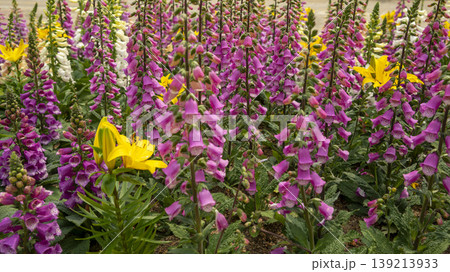 Goyang International Flower Exhibition Goyang International Flower Exhibition 139213933
