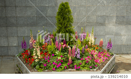 Goyang International Flower Exhibition 139214010