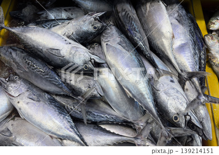 Fresh fish stacked together representing local fisheries, seafood supply, and ocean harvest. Fresh fish stacked together representing local fisheries, seafood supply, and ocean harvest. 139214151