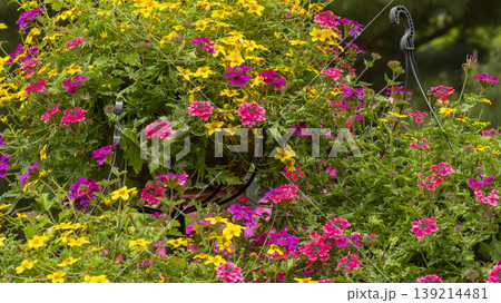 Goyang International Flower Exhibition 139214481