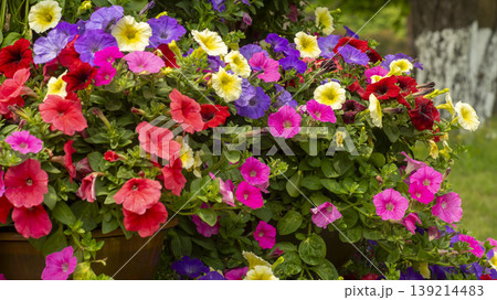 Goyang International Flower Exhibition Goyang International Flower Exhibition 139214483