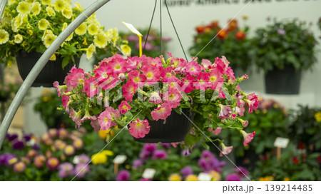 Goyang International Flower Exhibition Goyang International Flower Exhibition 139214485