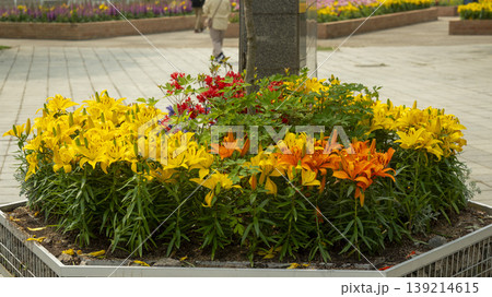 Goyang International Flower Exhibition Goyang International Flower Exhibition 139214615