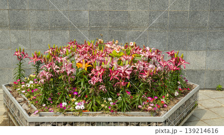 Goyang International Flower Exhibition Goyang International Flower Exhibition 139214616