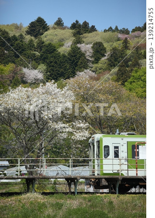 JR気仙沼線の春景色 JR気仙沼線の春景色 139214755