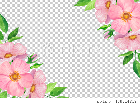 Delicate pink rose hips and vibrant greenery, a watercolor horizontal frame. Colorful garden flowers with vibrant pastel leaves. Hand drawn greenery for floral cards, invitations, and banners. Delicate pink rose hips and vibrant greenery, a watercolor horizontal frame. Colorful garden flowers with vibrant pastel leaves. Hand drawn greenery for floral cards, invitations, and banners. 139214818