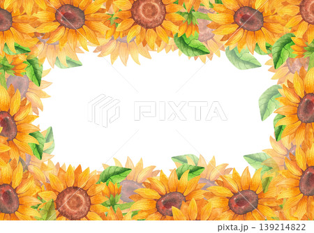 Bright yellow sunflowers, watercolor horizontal frame. Hand-drawn illustration of colorful wildflowers with vibrant leaves in sunny tones. Plants for floral cards, invitations, and packaging design. 139214822
