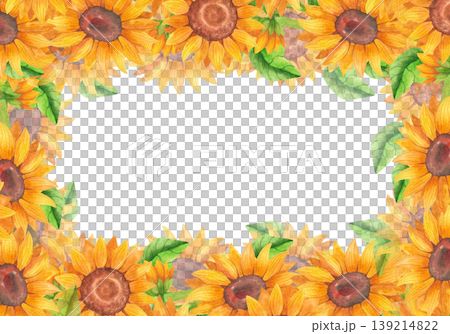 Bright yellow sunflowers, watercolor horizontal frame. Hand-drawn illustration of colorful wildflowers with vibrant leaves in sunny tones. Plants for floral cards, invitations, and packaging design. 139214822