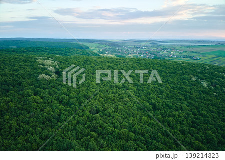 Top down flat aerial view of dark lush forest with green trees canopies in summer Top down flat aerial view of dark lush forest with green trees canopies in summer 139214823