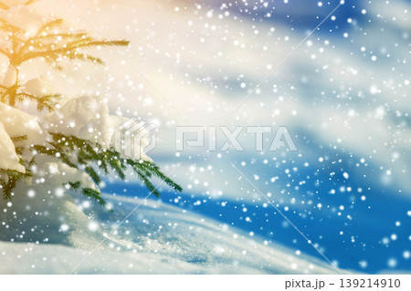 Spruce tree branch with green needles covered with deep snow and hoarfrost and large snowflakes on blurred blue colorful copy space background. Merry Christmas and Happy New Year greeting card. Spruce tree branch with green needles covered with deep snow and hoarfrost and large snowflakes on blurred blue colorful copy space background. Merry Christmas and Happy New Year greeting card. 139214910