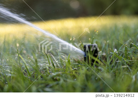 Sprinkler irrigating grass lawn with water in summer garden. Watering green vegetation during dry season for maintaining it fresh 139214912