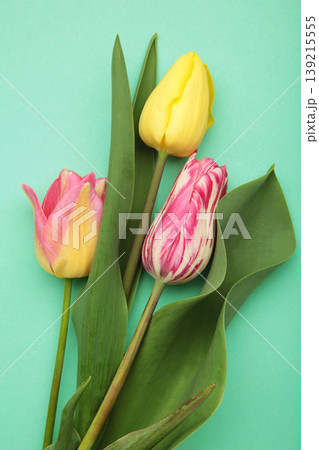 Bouquet of tulips on a mint background. Vertical photo 139215555