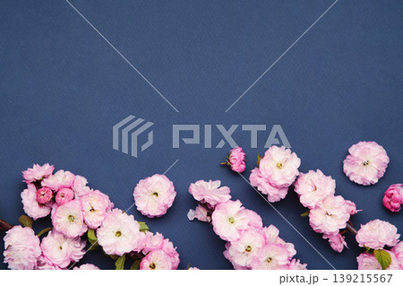 Pink almond flower blossoms in the spring on dark blue background. Space for text Pink almond flower blossoms in the spring on dark blue background. Space for text 139215567