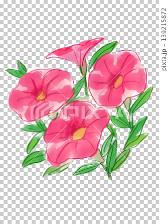A hand-painted watercolor illustration of blooming calibrachoa flowers. A hand-painted watercolor illustration of blooming calibrachoa flowers. 139215872