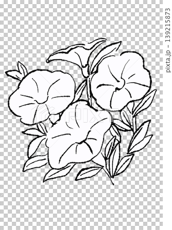 A hand-drawn line art illustration of blooming calibrachoa flowers. A hand-drawn line art illustration of blooming calibrachoa flowers. 139215873