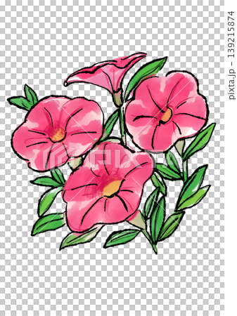 手繪線條畫和水彩插圖,描繪了盛開的矮牽牛花。 手繪線條畫和水彩插圖,描繪了盛開的矮牽牛花。 139215874