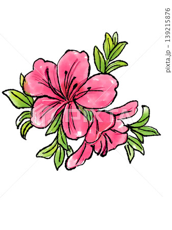 咲き誇るサツキの花の手描きの線画と水彩イラスト 咲き誇るサツキの花の手描きの線画と水彩イラスト 139215876