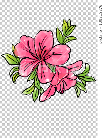 咲き誇るサツキの花の手描きの線画と水彩イラスト 咲き誇るサツキの花の手描きの線画と水彩イラスト 139215876