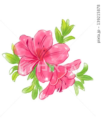 咲き誇るサツキの花の手描きの水彩イラスト 咲き誇るサツキの花の手描きの水彩イラスト 139215878