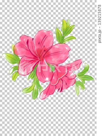 咲き誇るサツキの花の手描きの水彩イラスト 咲き誇るサツキの花の手描きの水彩イラスト 139215878
