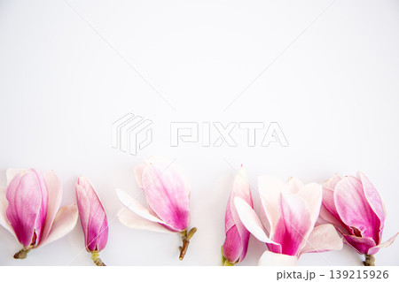 spring floral arrangement with magnolia blossoms and minimal style spring floral arrangement with magnolia blossoms and minimal style 139215926