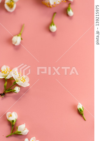elegant blooming flowers composition with soft light pink backdrop elegant blooming flowers composition with soft light pink backdrop 139215975