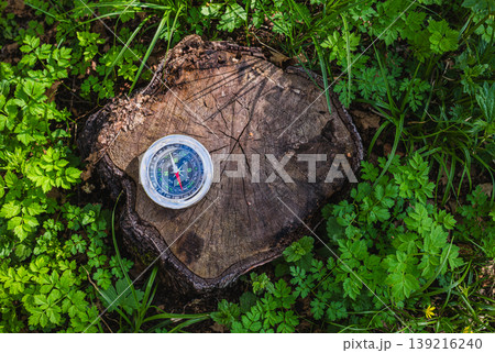 Magnetic compass on mossy tree stump surrounded by green plants in forest Magnetic compass on mossy tree stump surrounded by green plants in forest 139216240