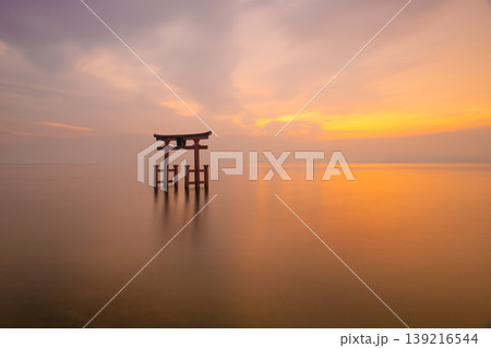 白髭神社の大鳥居と琵琶湖の朝焼け 白髭神社の大鳥居と琵琶湖の朝焼け 139216544