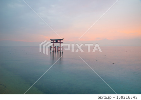 白髭神社の大鳥居と琵琶湖の夜明け 白髭神社の大鳥居と琵琶湖の夜明け 139216545