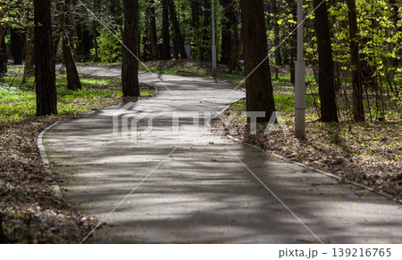 A sunny forest path surrounded by green foliage leads through a peaceful and natural forest area A sunny forest path surrounded by green foliage leads through a peaceful and natural forest area 139216765
