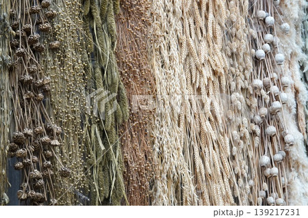 Abundant Harvest: A Full Frame Display of Dried Grains, Seeds, and Floral Pods in Neutral Tones 139217231