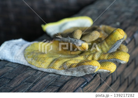 Worn Pair of Utility Gloves Resting on a Textured Surface, Ready for Work or Garden Projects 139217282