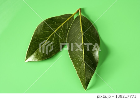Laurel leaves over green studio background Laurel leaves over green studio background 139217773