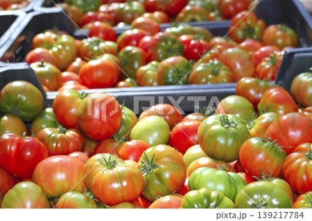 tomatoes in market raff tomato vegetable 139217784
